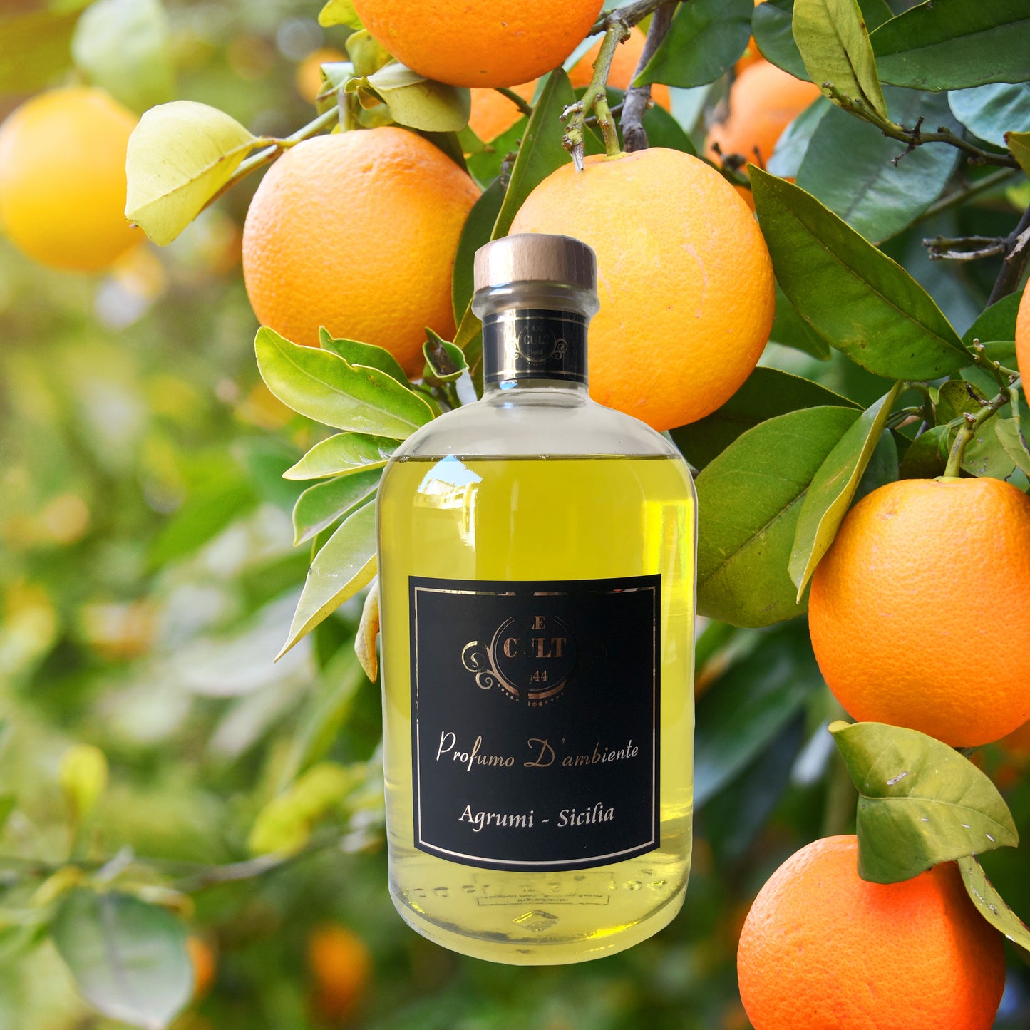 Agrumi di Sicilia